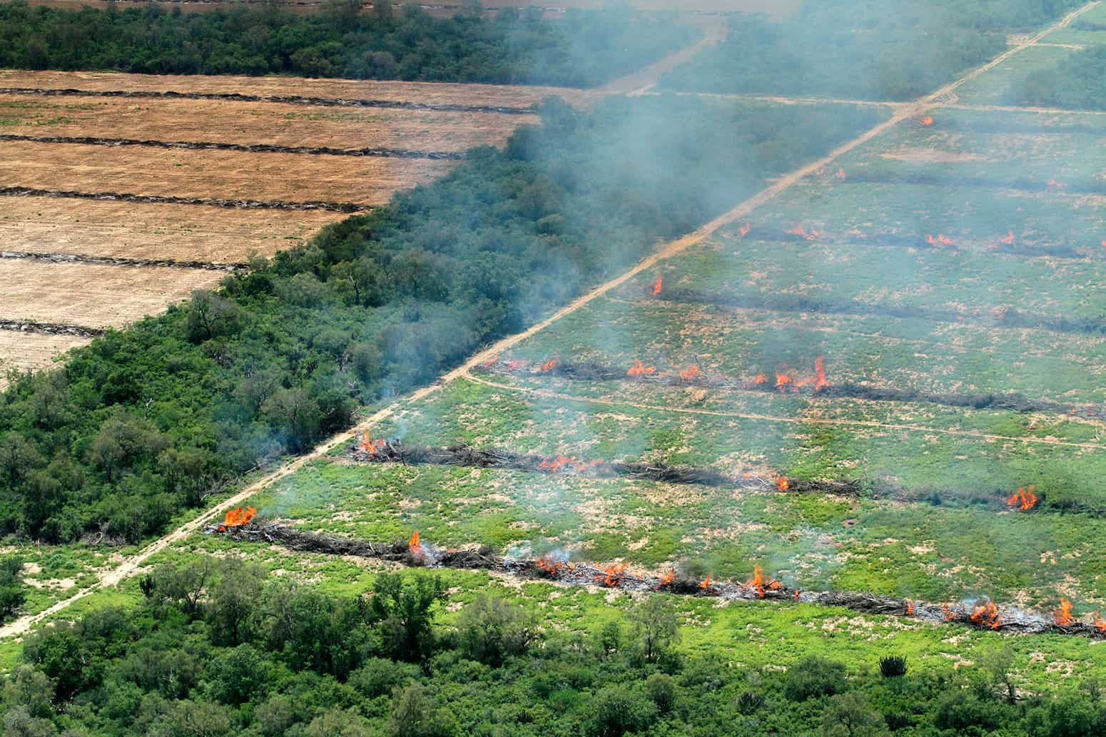Deforestation fires in the Paraguayan Chaco